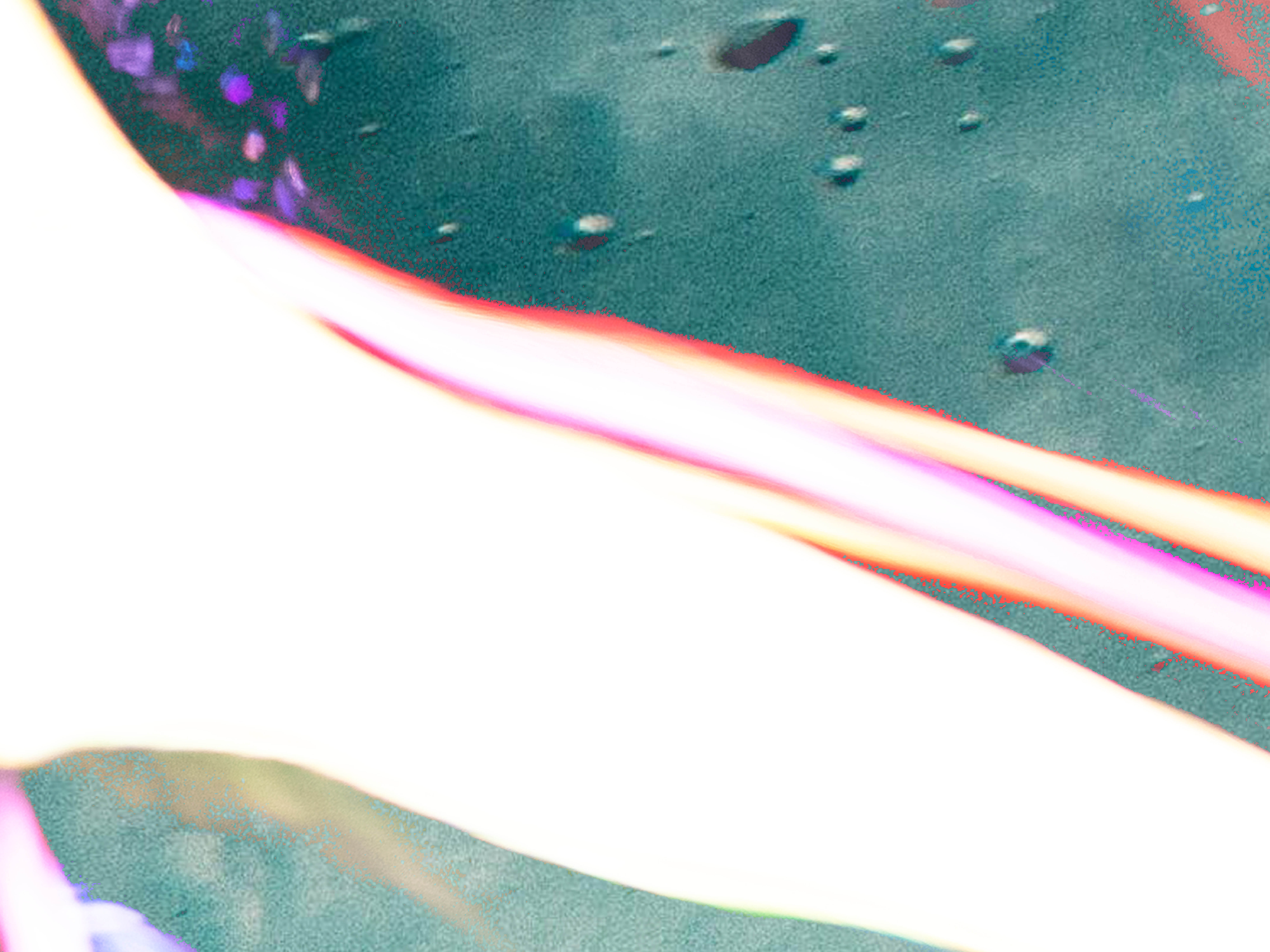 2026.04.11 Penha Way – meet the locals 