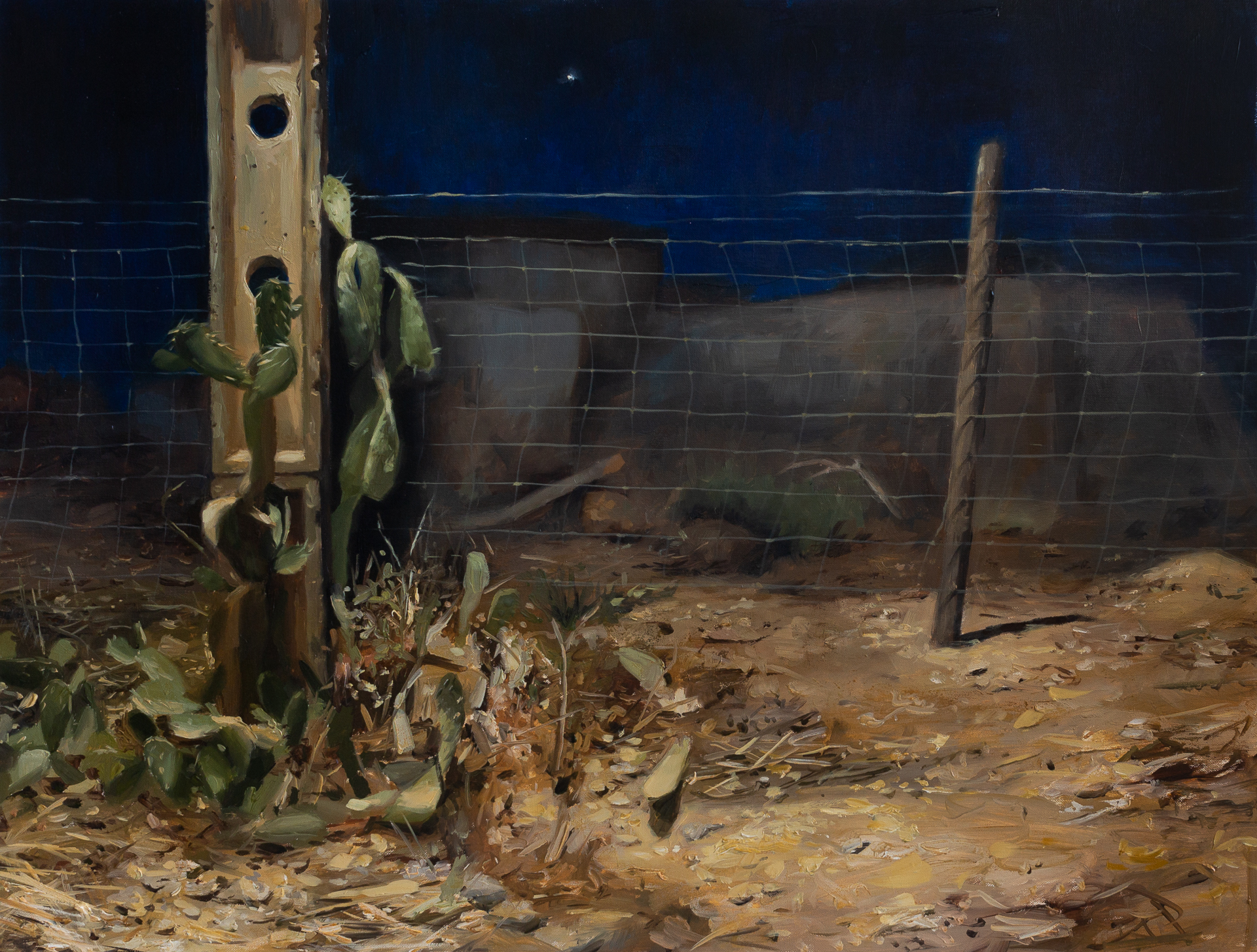 440_ Dying Cactus 