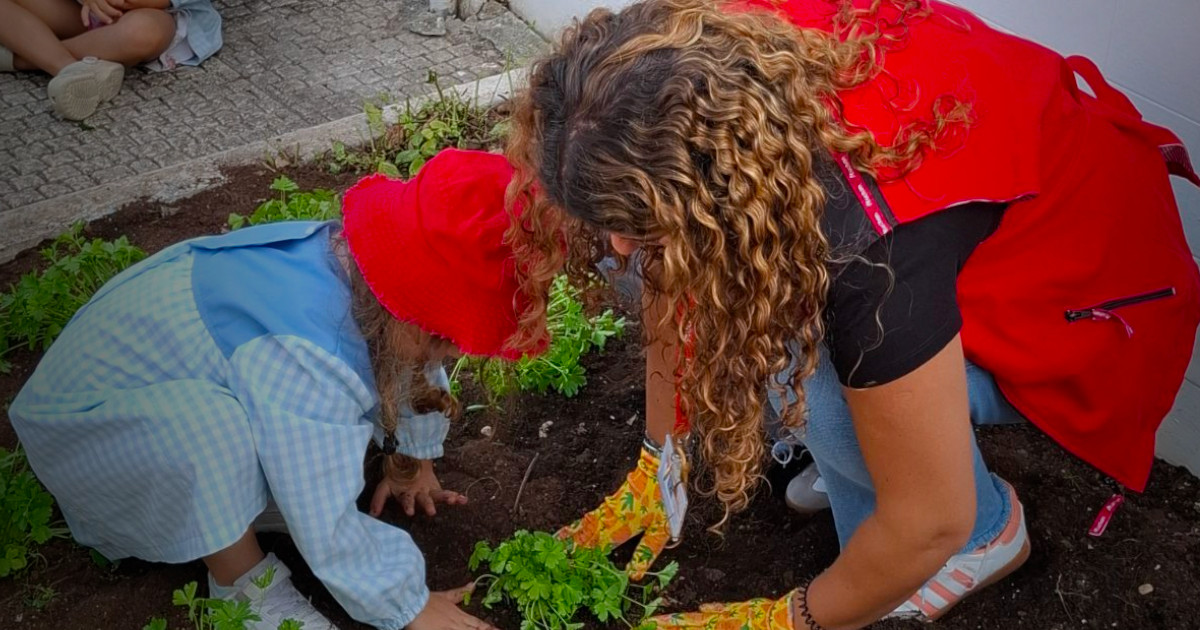 Auchan investiu mais de 880 mil euros no apoio a comunidades e causas sociais em 2025