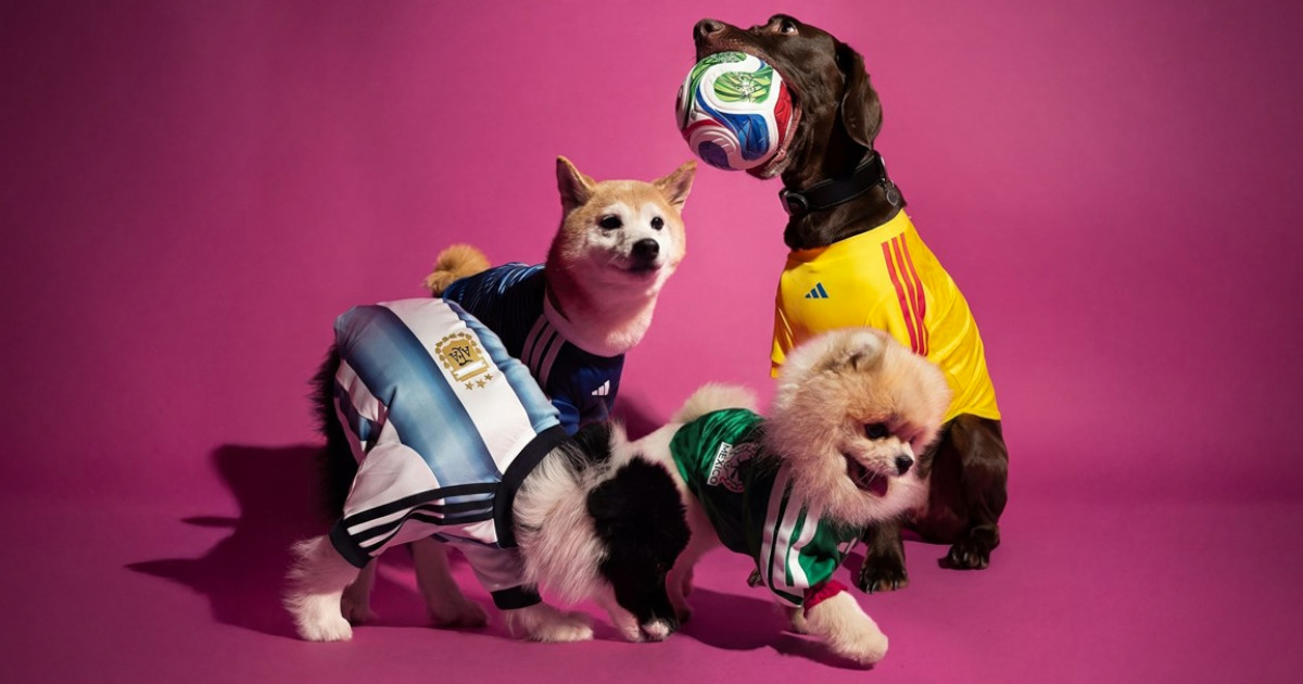 Adidas leva o Mundial 2026 aos animais de estimação com coleção inspirada nas seleções