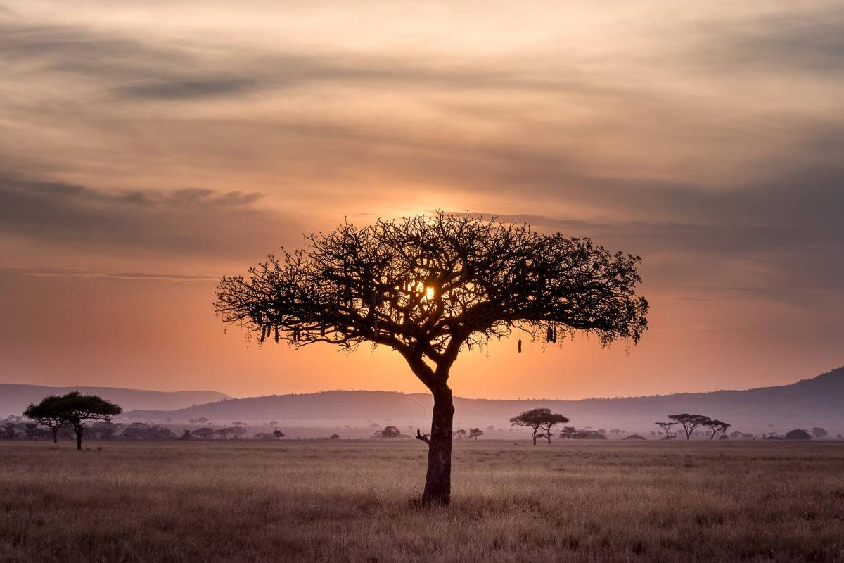 EDP vai financiar sete projetos de energia solar em cinco países africanos