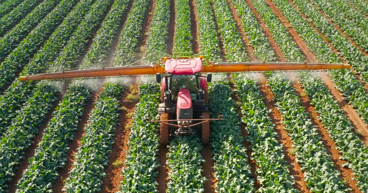 Do campo para a economia