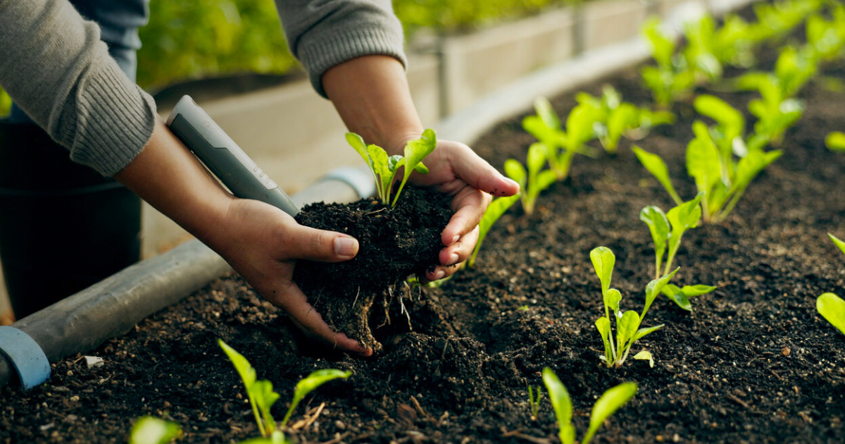 Mais de 40% dos consumidores mudariam alimentação para combater alterações climáticas