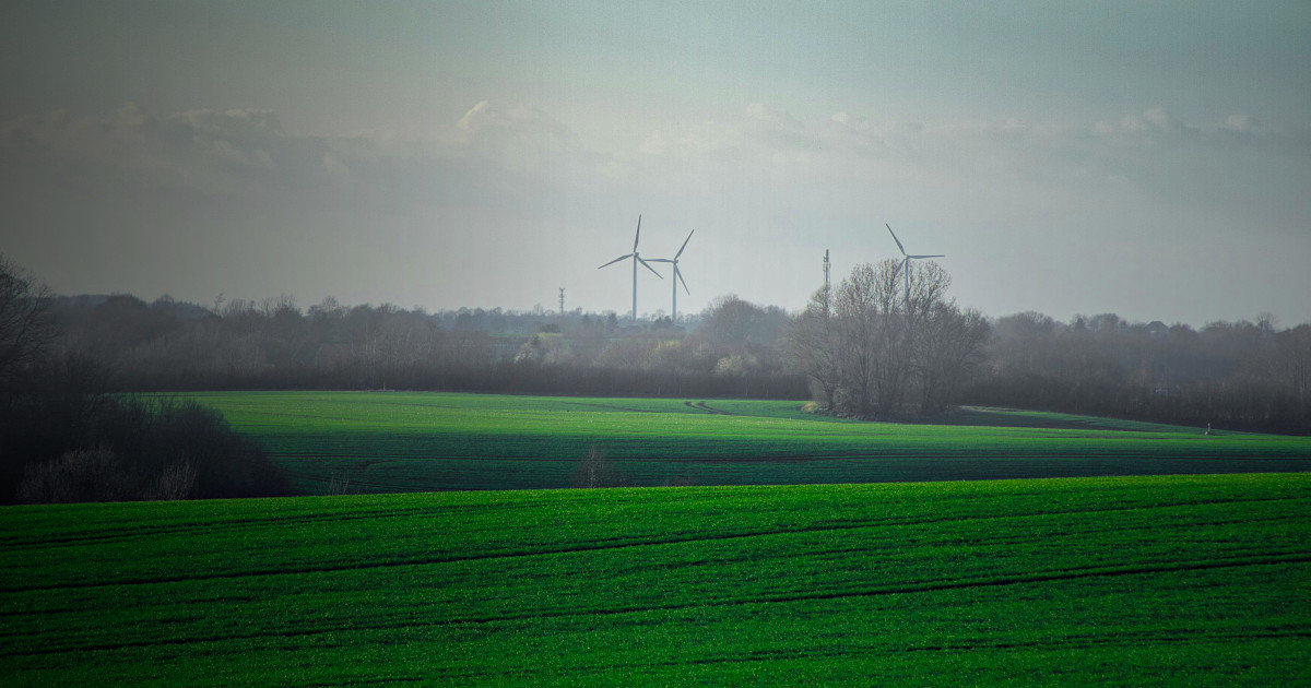 NOS, Sonae e MC distinguidas pelo CDP pelo combate às alterações climáticas