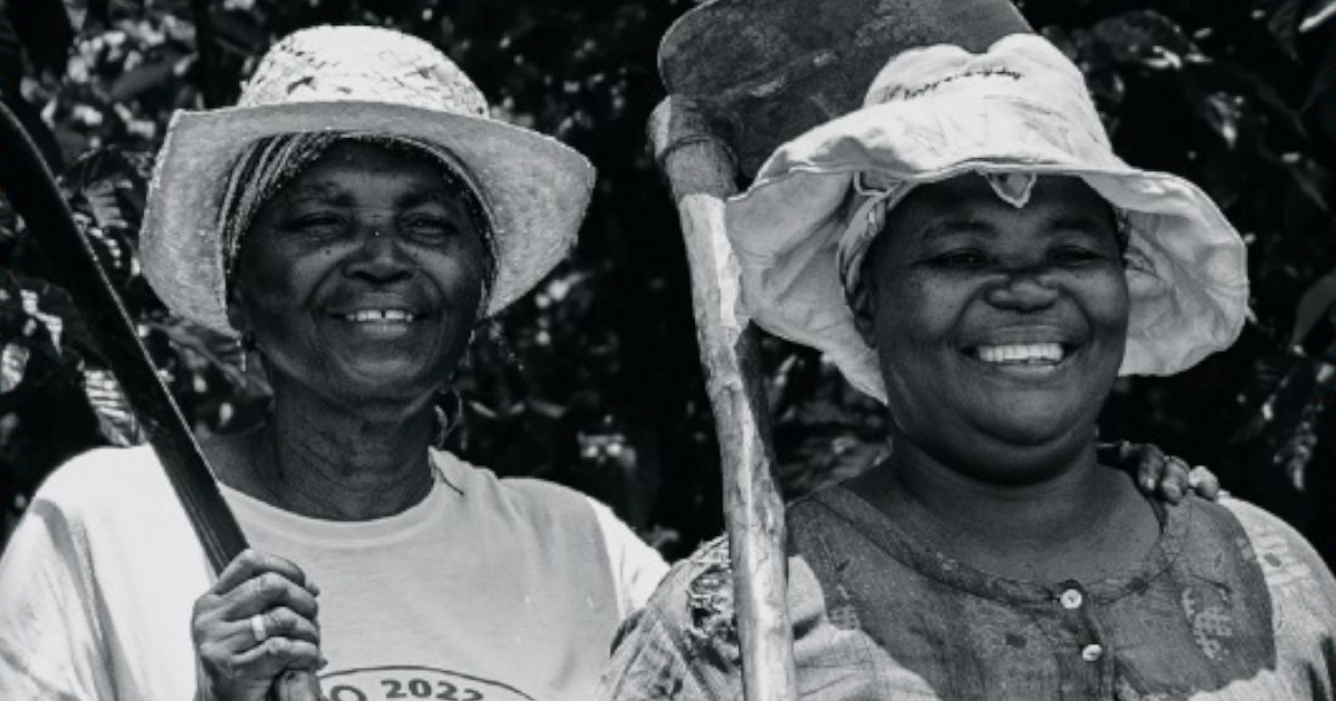 Produtoras de café angolanas protagonizam nova edição da revista DDD - D De Delta
