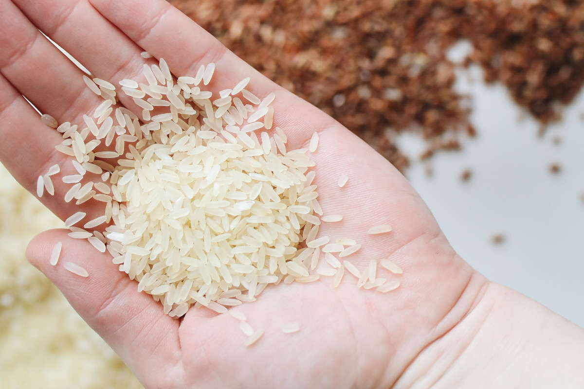 Grupo NAU e Nespresso doam toneladas de arroz ao Banco Alimentar