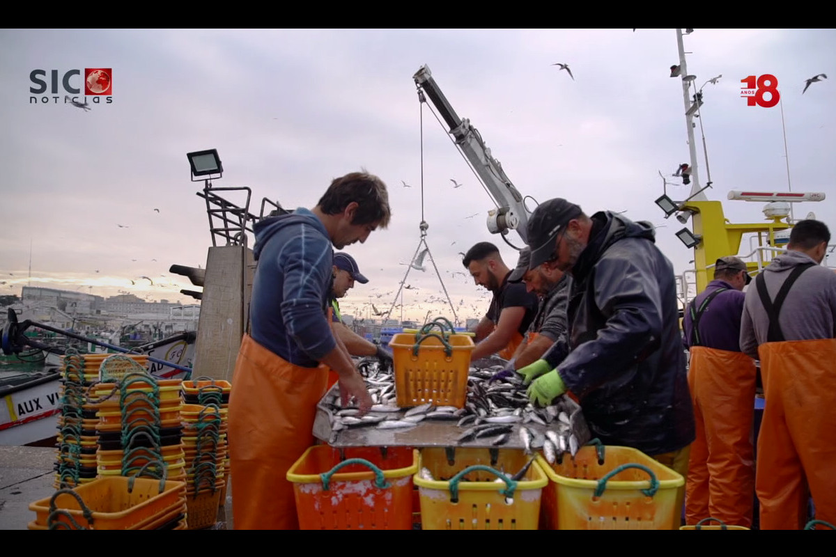 Pescas em Portugal: uma arte a modernizar