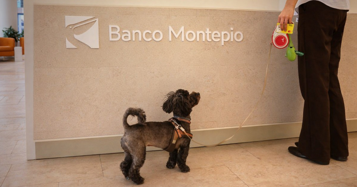 Banco Montepio reforça rede de balcões pet friendly e já conta com 11 em Portugal