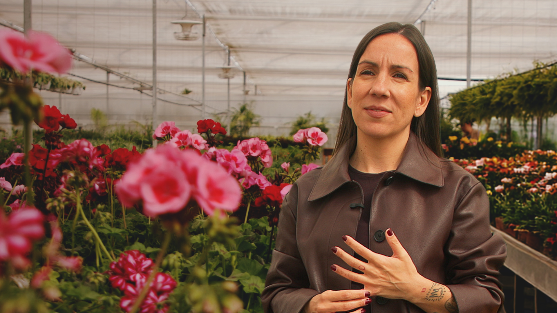 A Estratégia que cria raízes na experiência