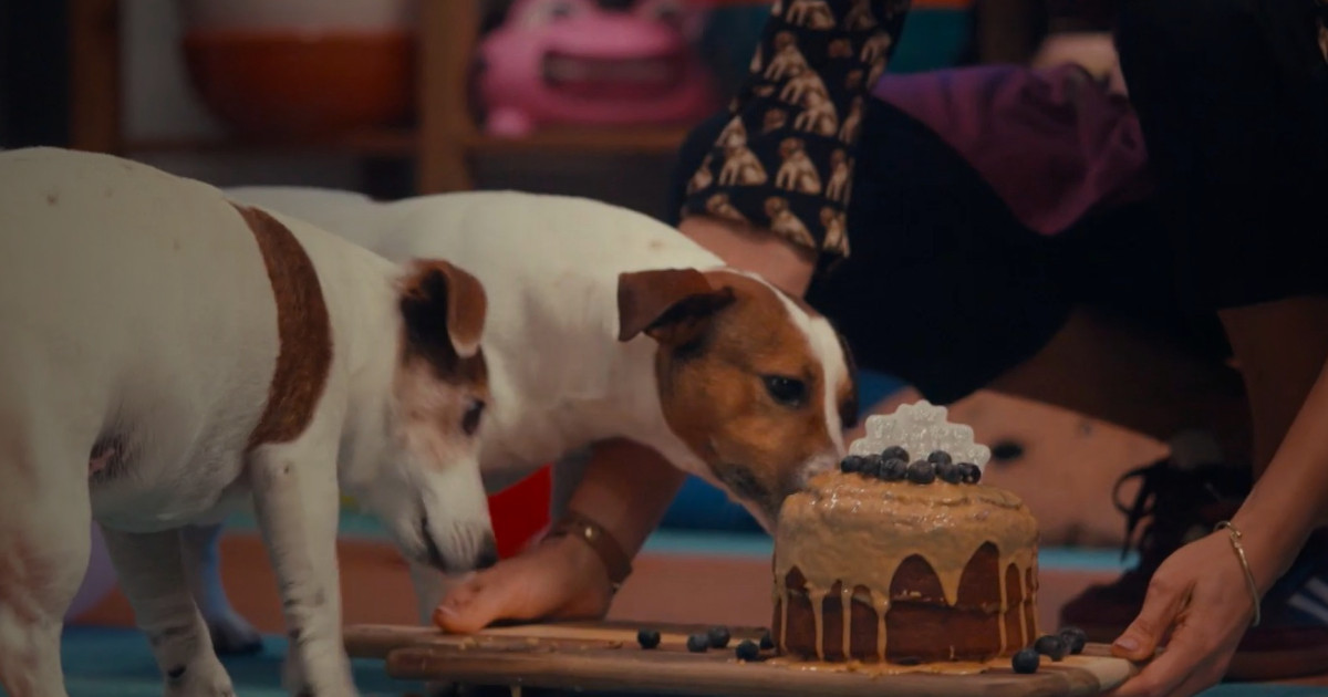 Fidelidade apoia novo programa da SIC dedicado à alimentação canina