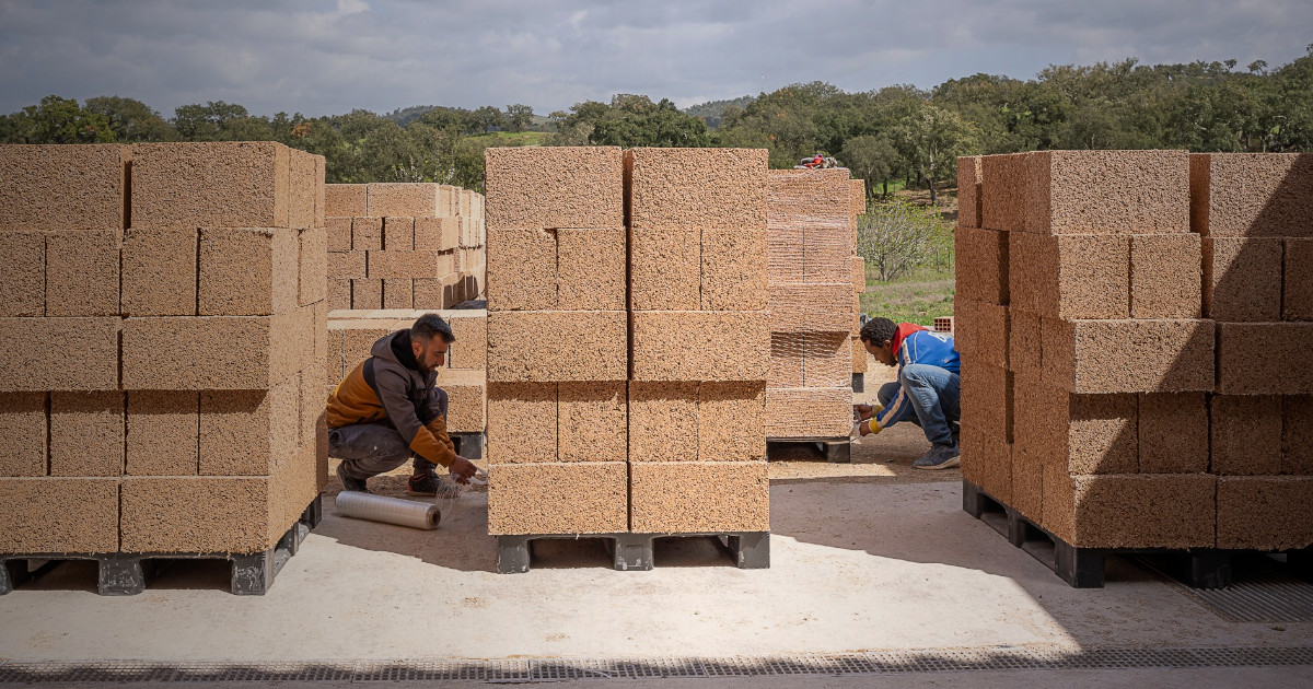 dte participa na construção da primeira fábrica de ecoblocos de cânhamo do mundo (no Alentejo)