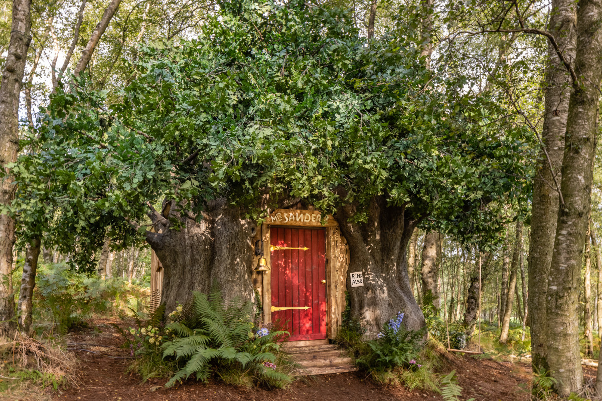 A casa do Winnie the Pooh está na Airbnb