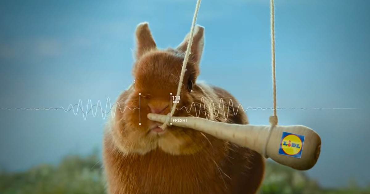 “Nada bate os frescos do Lidl”: Insígnia testa frescura dos produtos... com coelhos