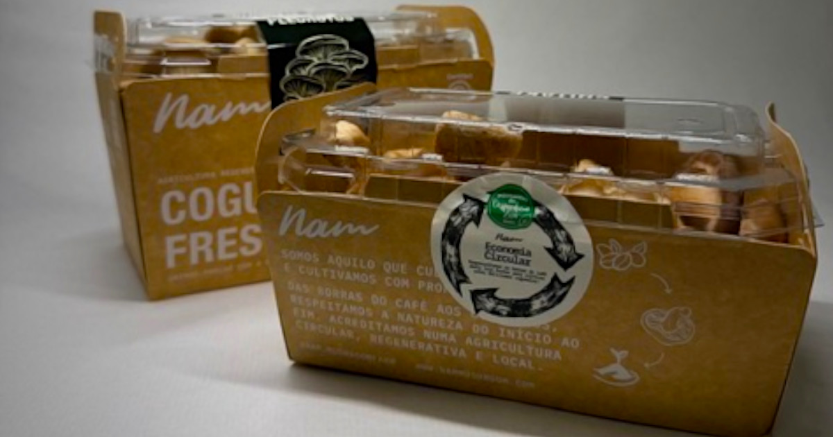 Da chávena ao prato: Auchan transforma borras de café em cogumelos frescos