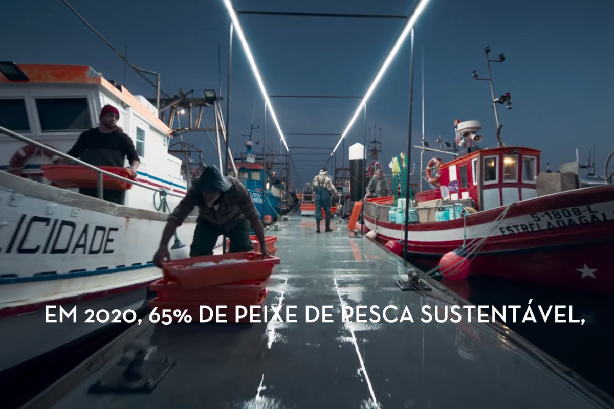 Campanha dá a conhecer &quot;Um Continente que não se vê&quot;