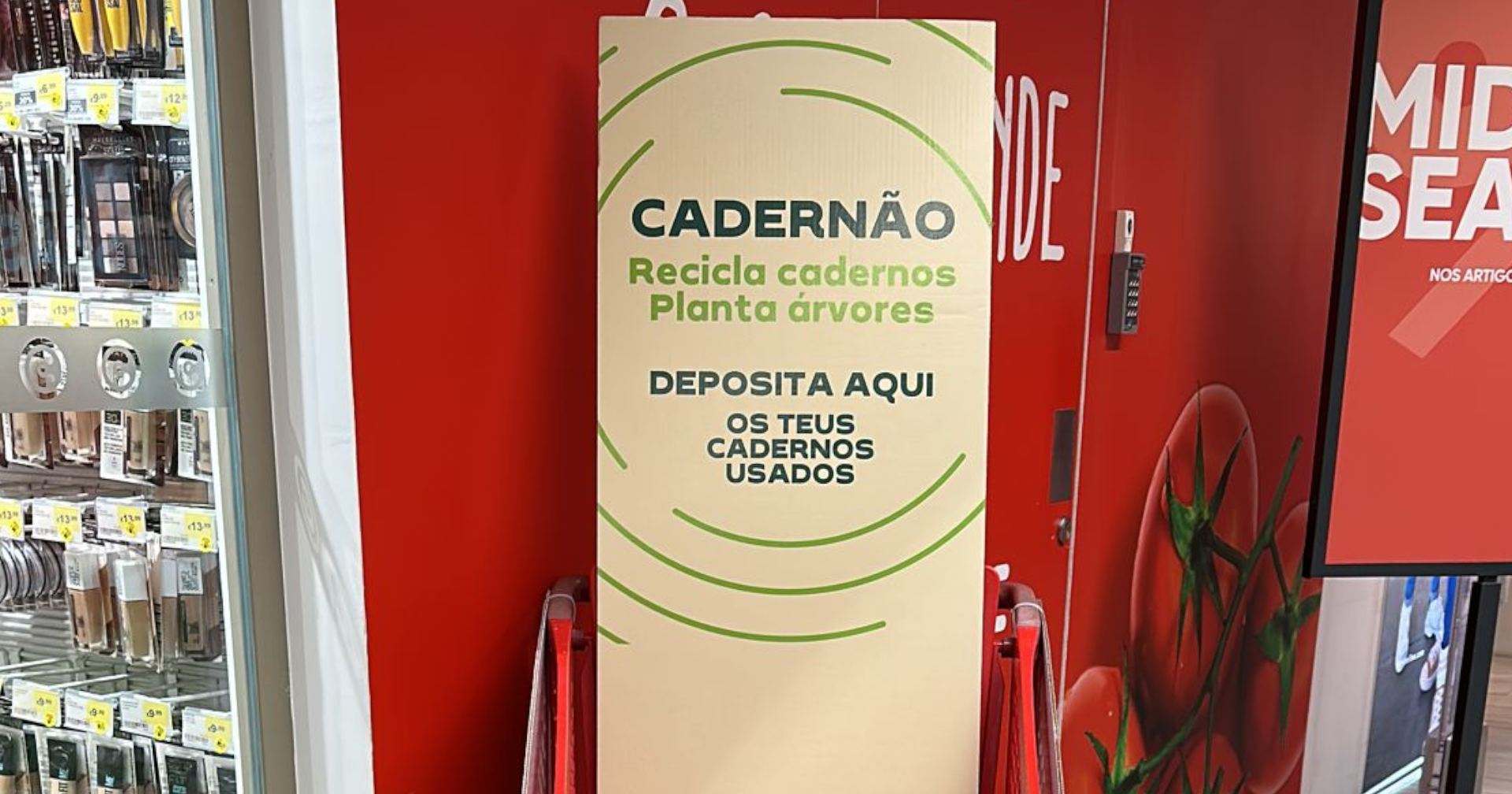 Continente promove reciclagem e reflorestação através do “Cadernão”