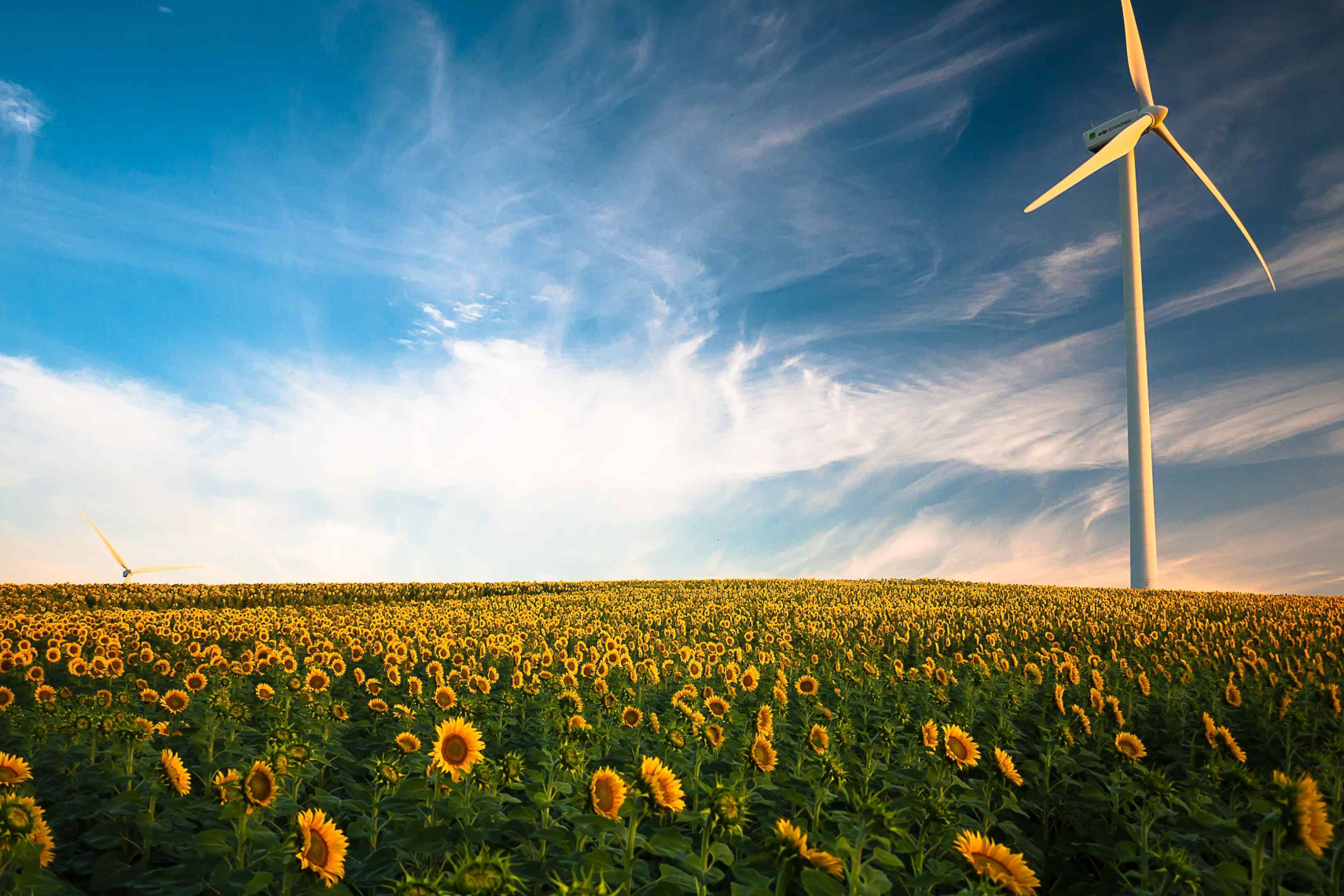 Plano de Transição Climática da EDP distinguido nos ESG Investing Awards