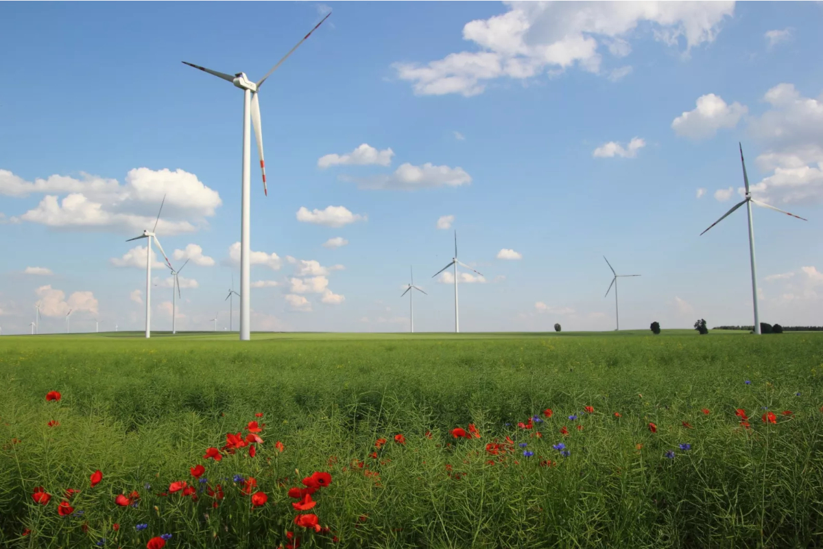 EDP investe em soluções inovadoras e no hidrogénio verde 