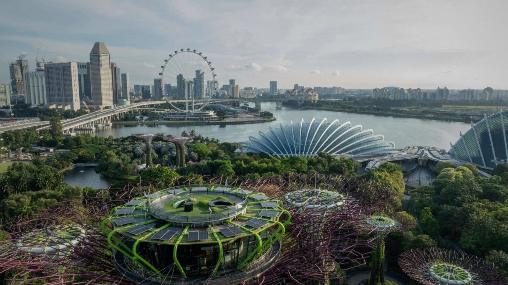 EDP leva energia solar aos icónicos Gardens by the Bay, em Singapura