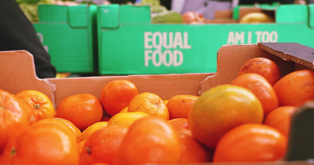 A imperfeição transformada em sustentabilidade 