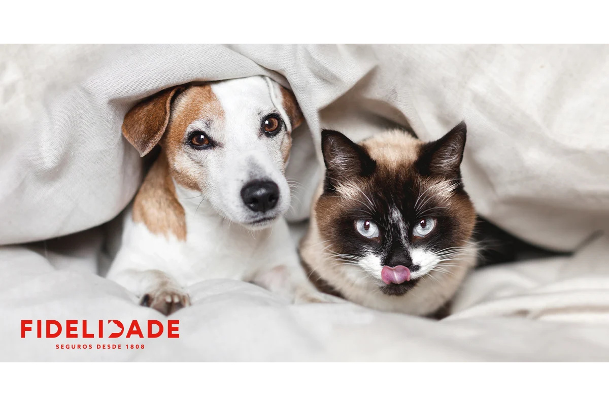 Fidelidade Pets vence prémio de inovação internacional
