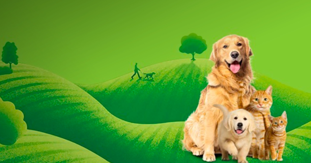 FRISKIES assinala mais de 35 anos em Portugal com rebranding e nova campanha protagonizada por consumidores reais
