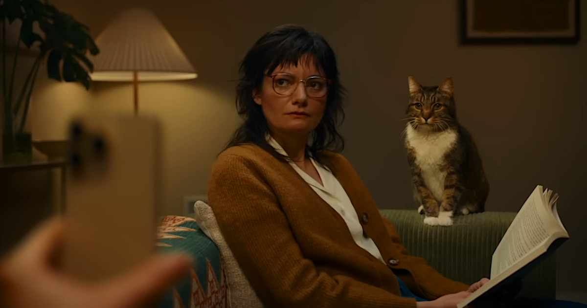 Garrett, o gato que desafiou a Inteligência Artificial da Apple