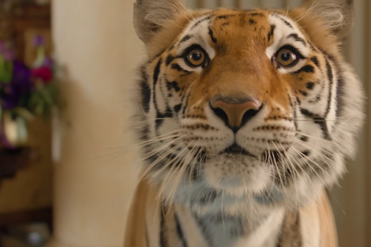 Gucci celebra &quot;Ano do Tigre&quot; com campanha &quot;selvagem&quot;