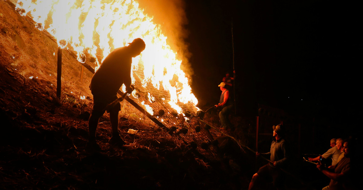 Auchan lança campanha de apoio a produtores locais afetados pelos incêndios