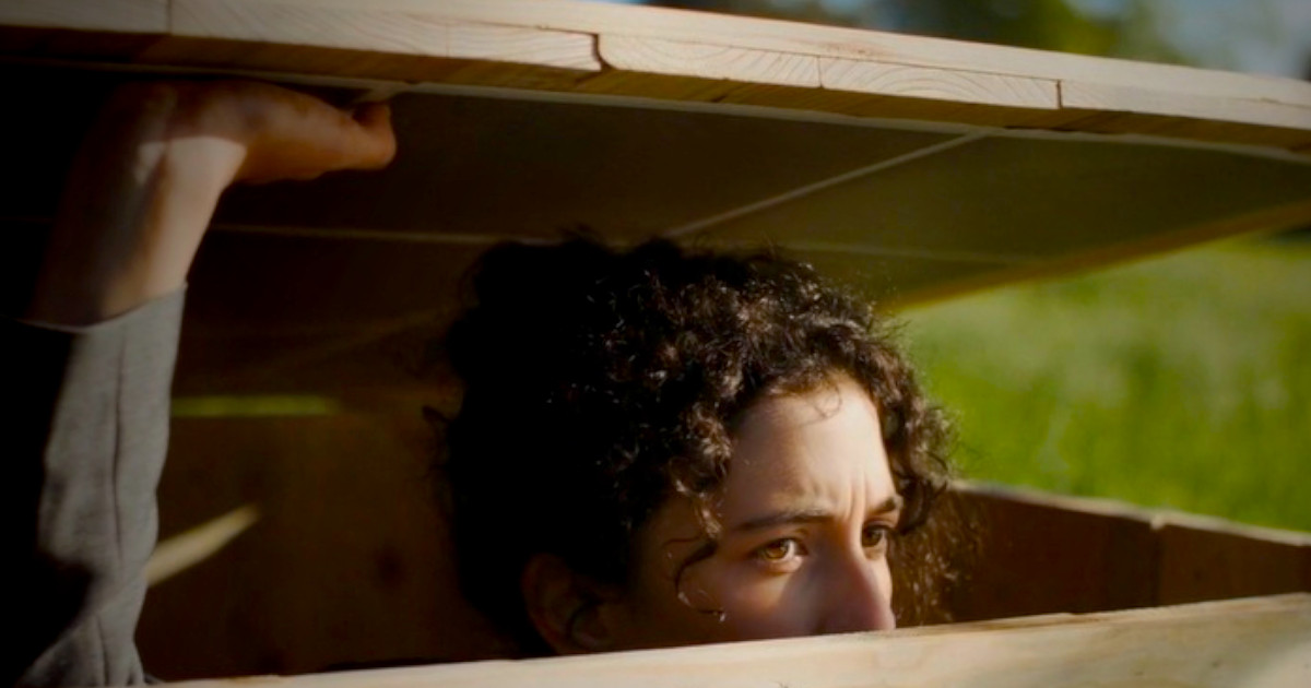 ISA desafia jovens a “sair da caixa” em nova campanha sobre o futuro das ciências agrárias