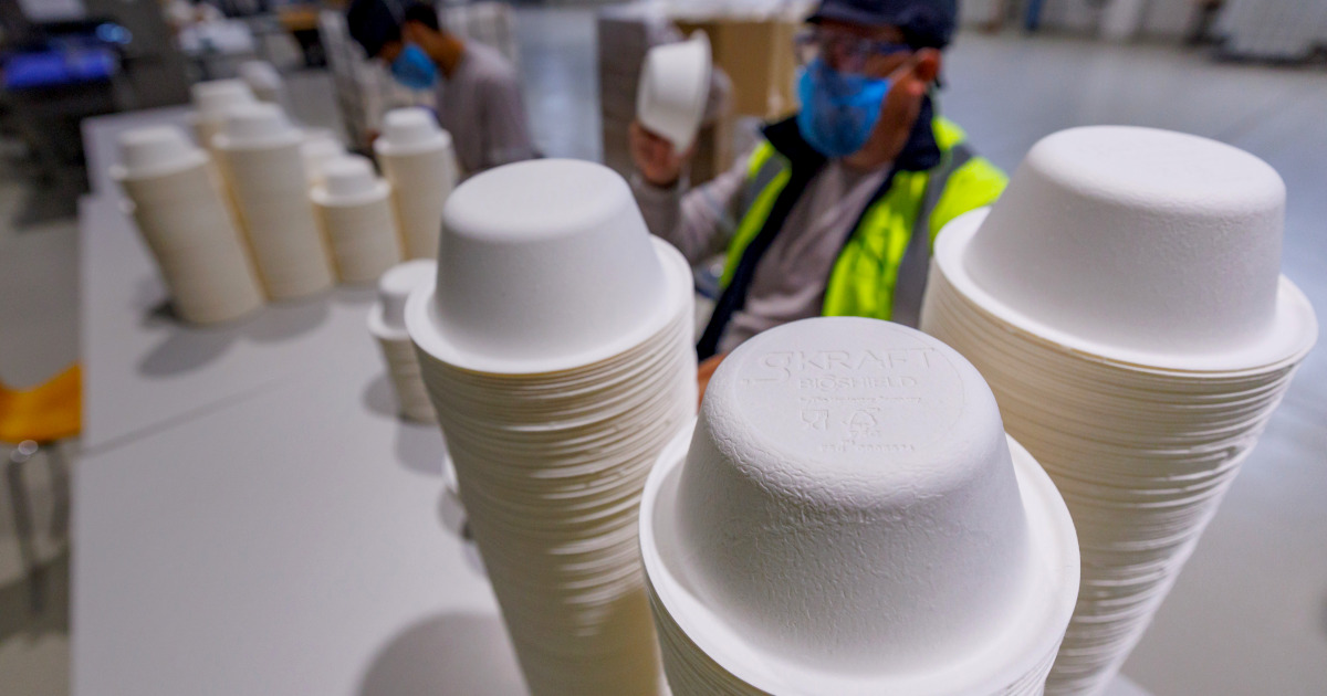 Navigator é o novo fornecedor da linha de pratos descartáveis de fibra moldada da marca Kasa