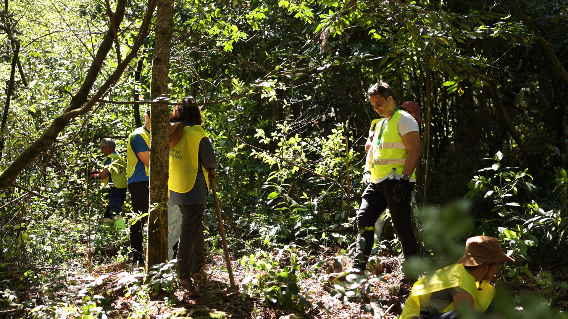 Água de Luso reforça compromisso com a Mata do Bussaco com plantação de 1500 árvores