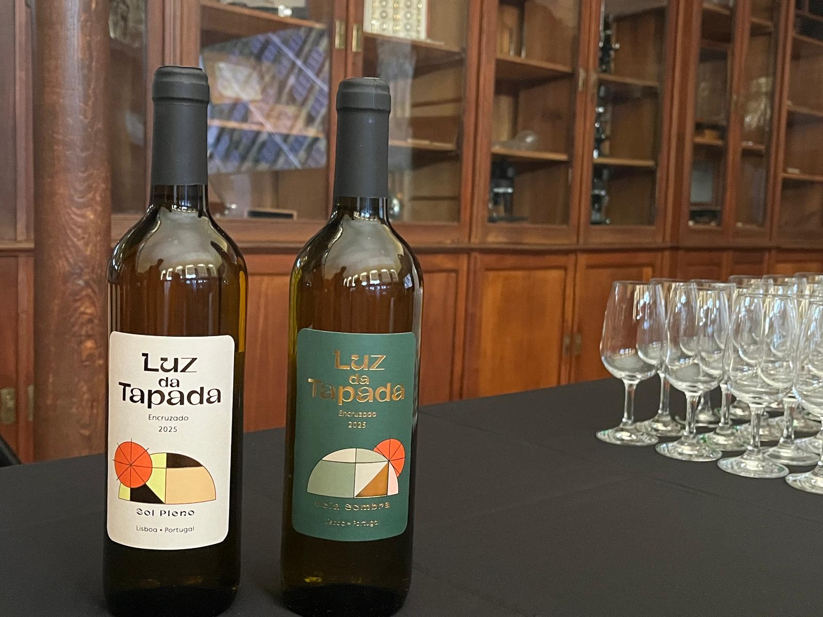 Luz da Tapada: Galp e ISA fazem vinho feito com uvas cultivadas sob painéis solares