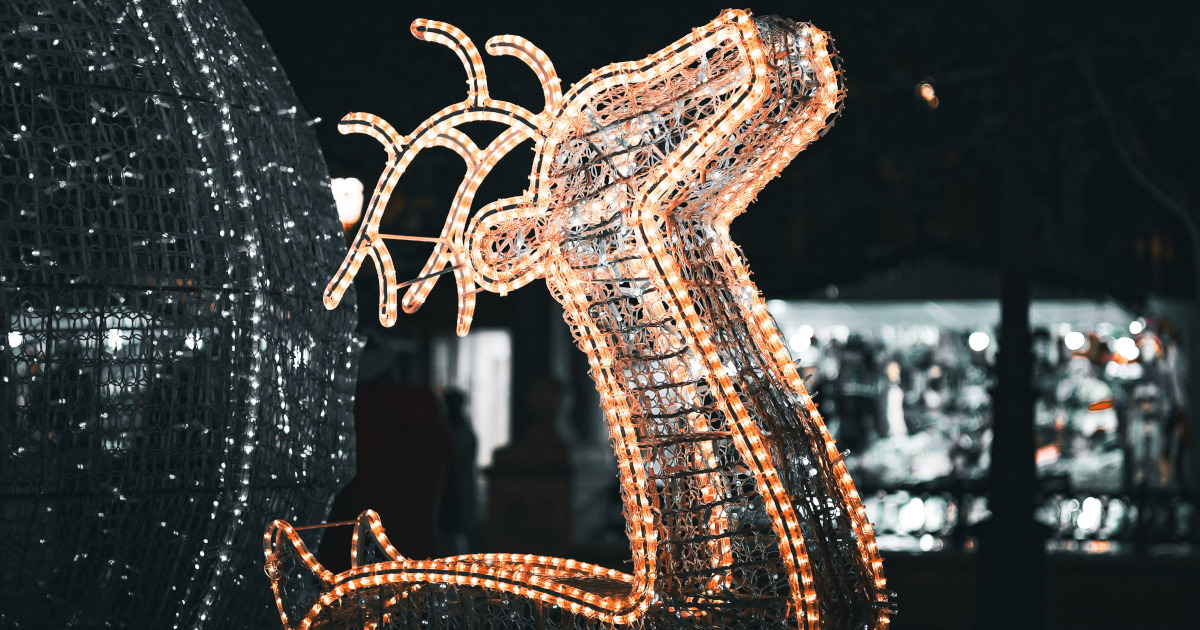Teixeira Couto ganha concurso para as iluminações de Natal em Lisboa