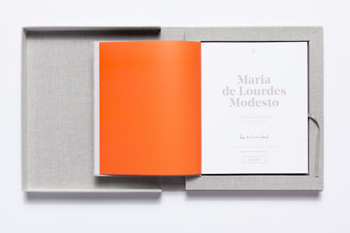 JNcQUOI lança livro de homenagem a Maria de Lourdes Modesto