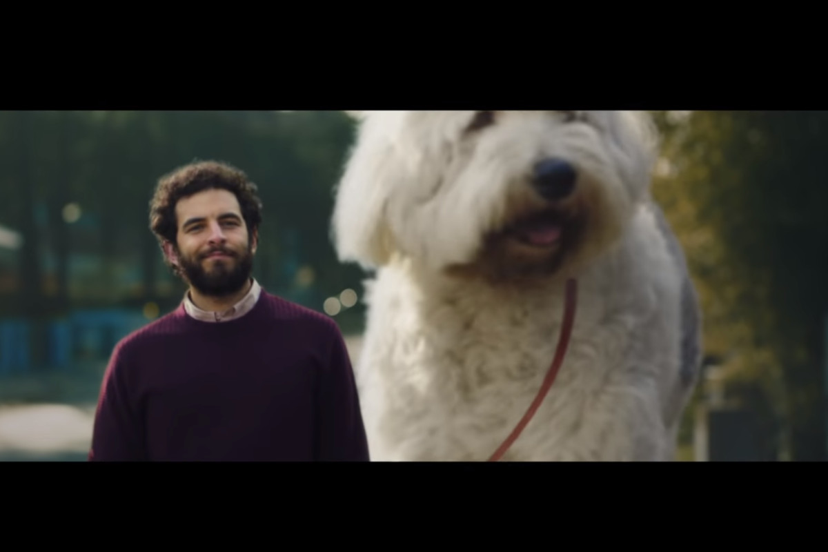 Škoda apresenta um cinto de segurança para cães