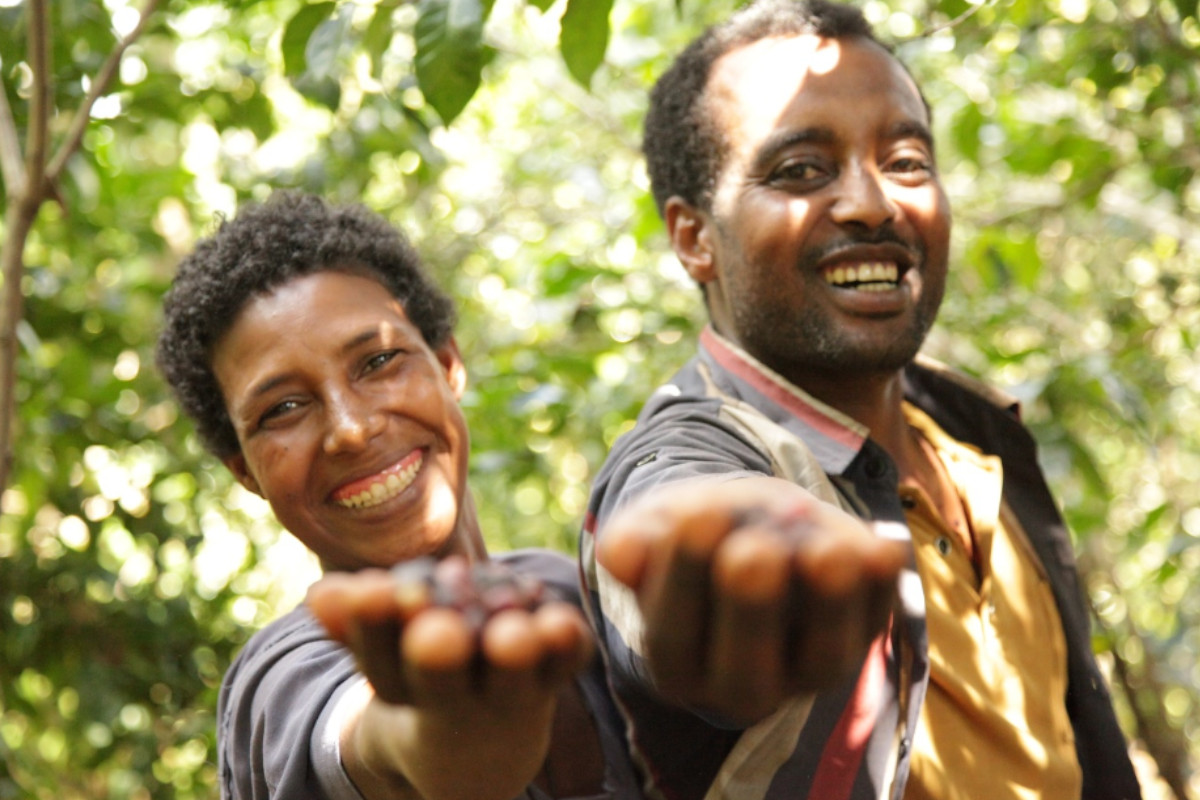 International Coffee Partners apoia pequenos produtores de café