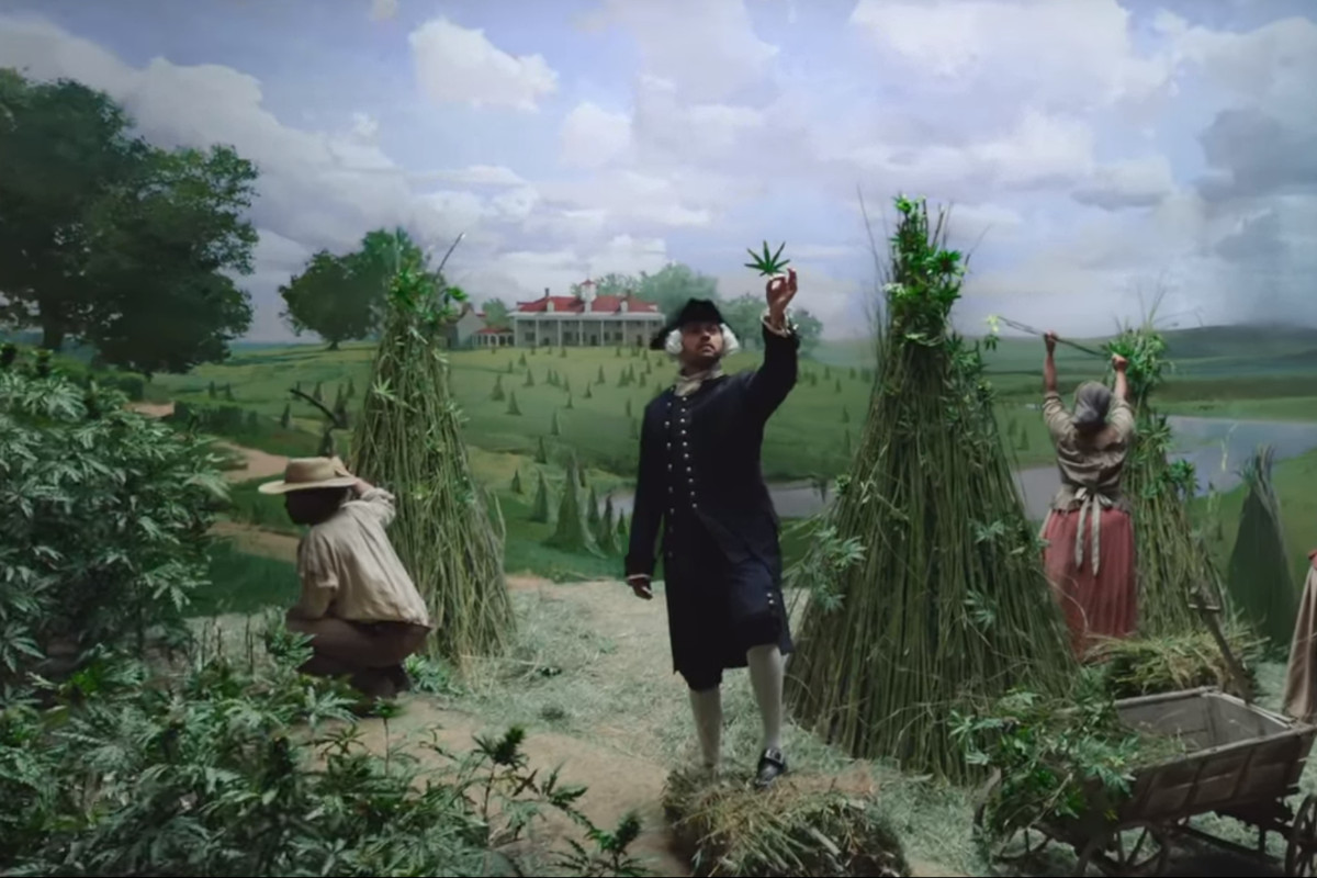 A história e os benefícios da cannabis