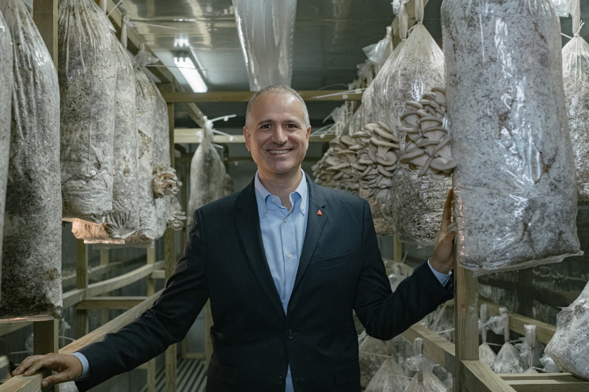 Delta Cafés produz cogumelos a partir da borra de café