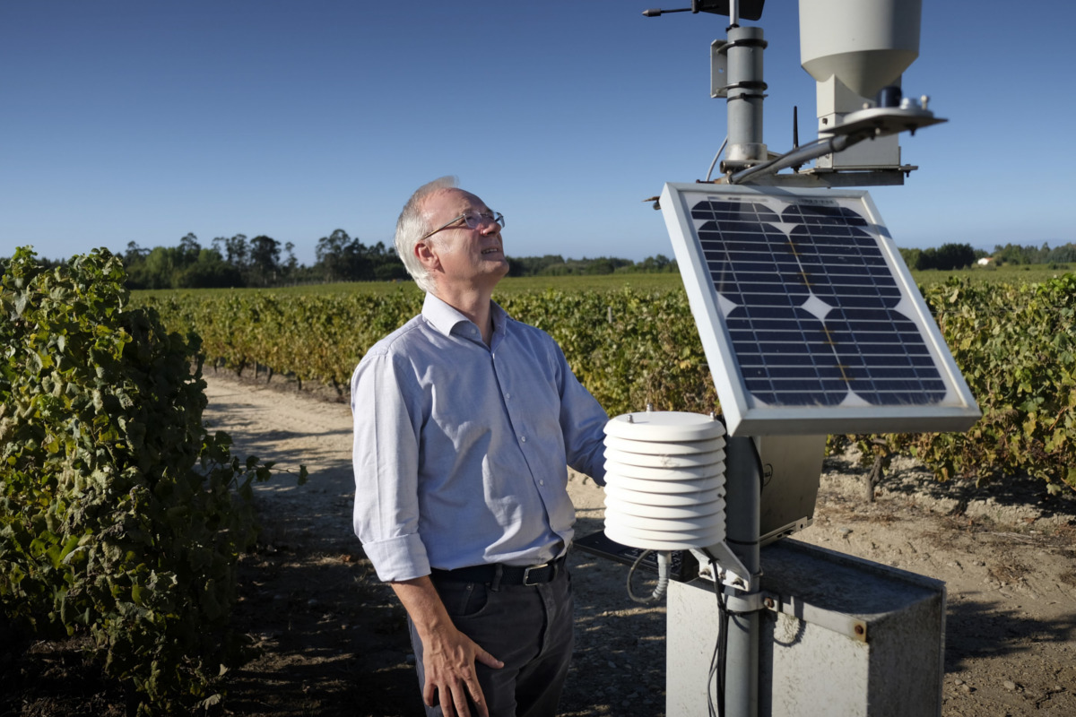 Sogrape aposta em agricultura climaticamente inteligente 