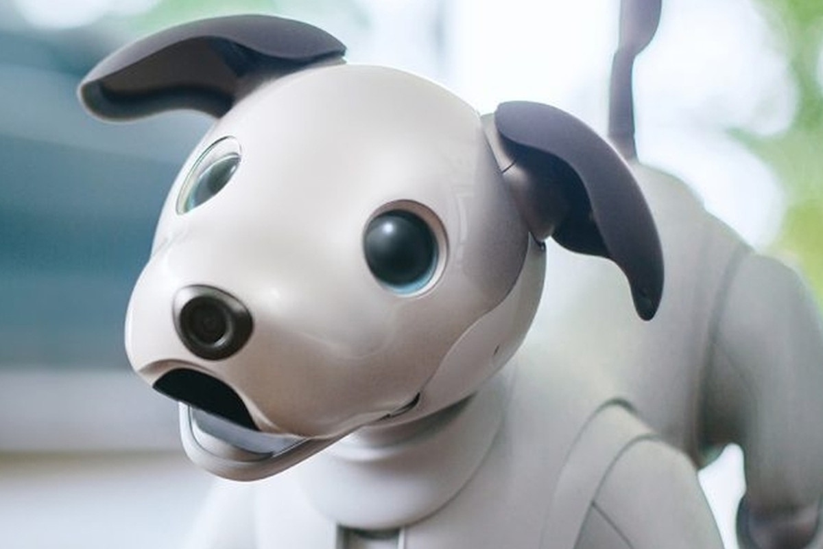 Aibo: o cão robô está de volta