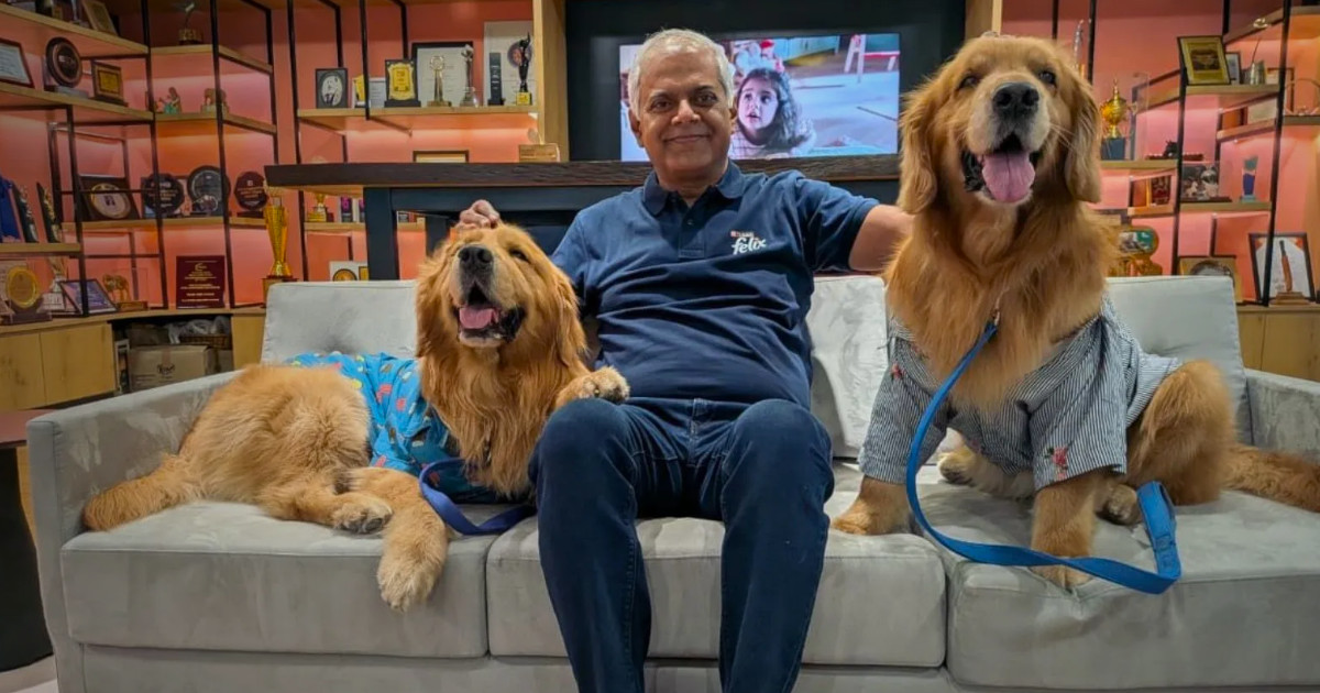 Nestlé na Índia contrata dois golden retrievers para o cargo de Chief Happiness Officers