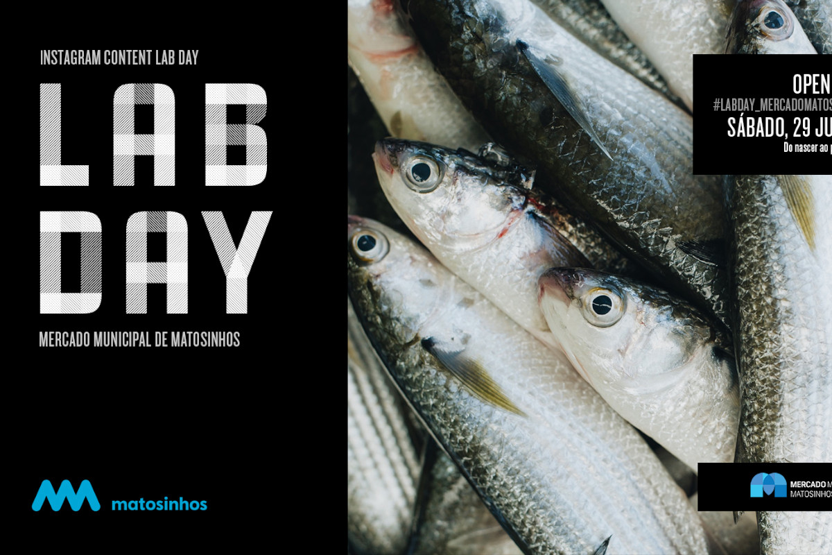 Mercado de Matosinhos acolhe Instagram Content Lab Day