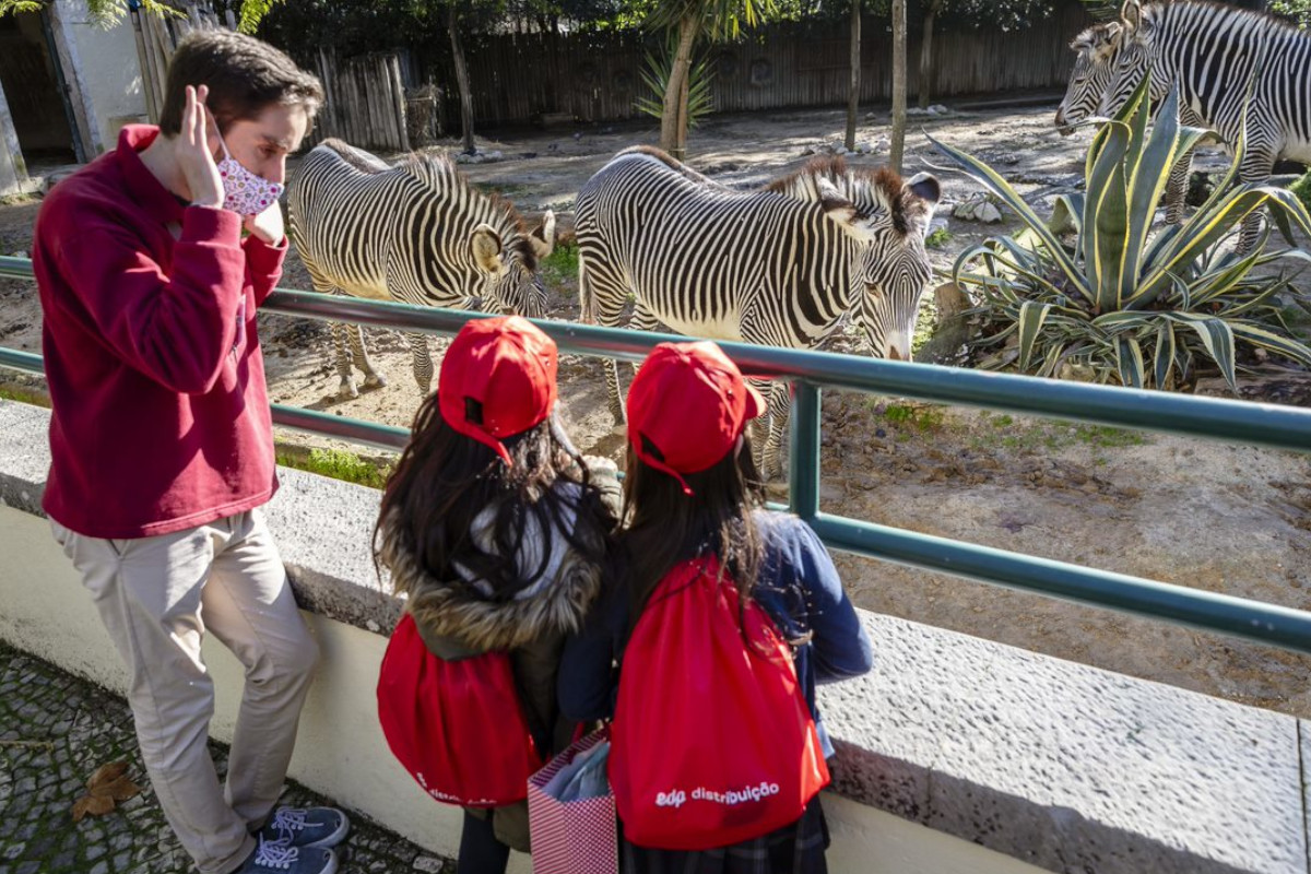 EDP leva 270 crianças e jovens ao Jardim Zoológico