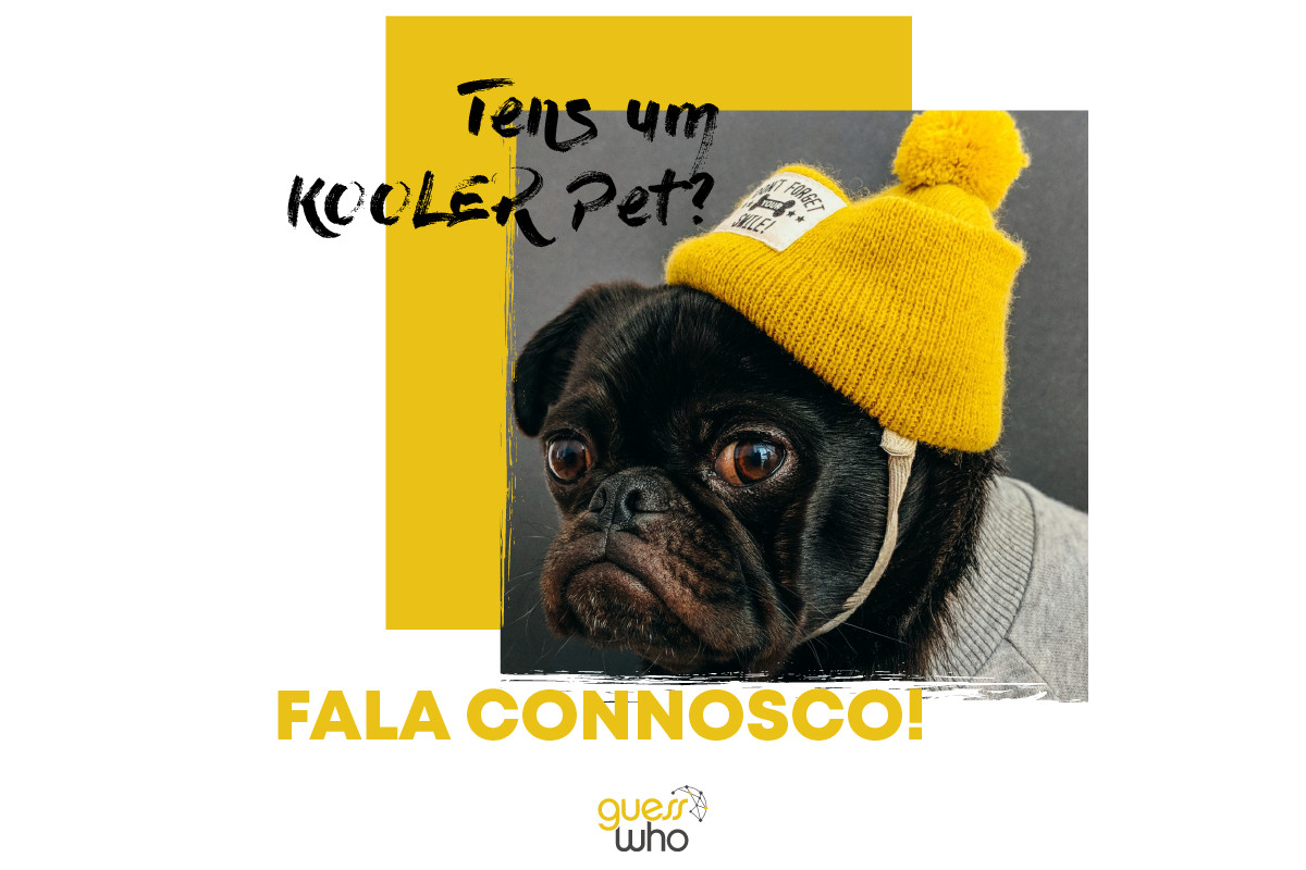 Podem os animais ser influenciadores digitais?