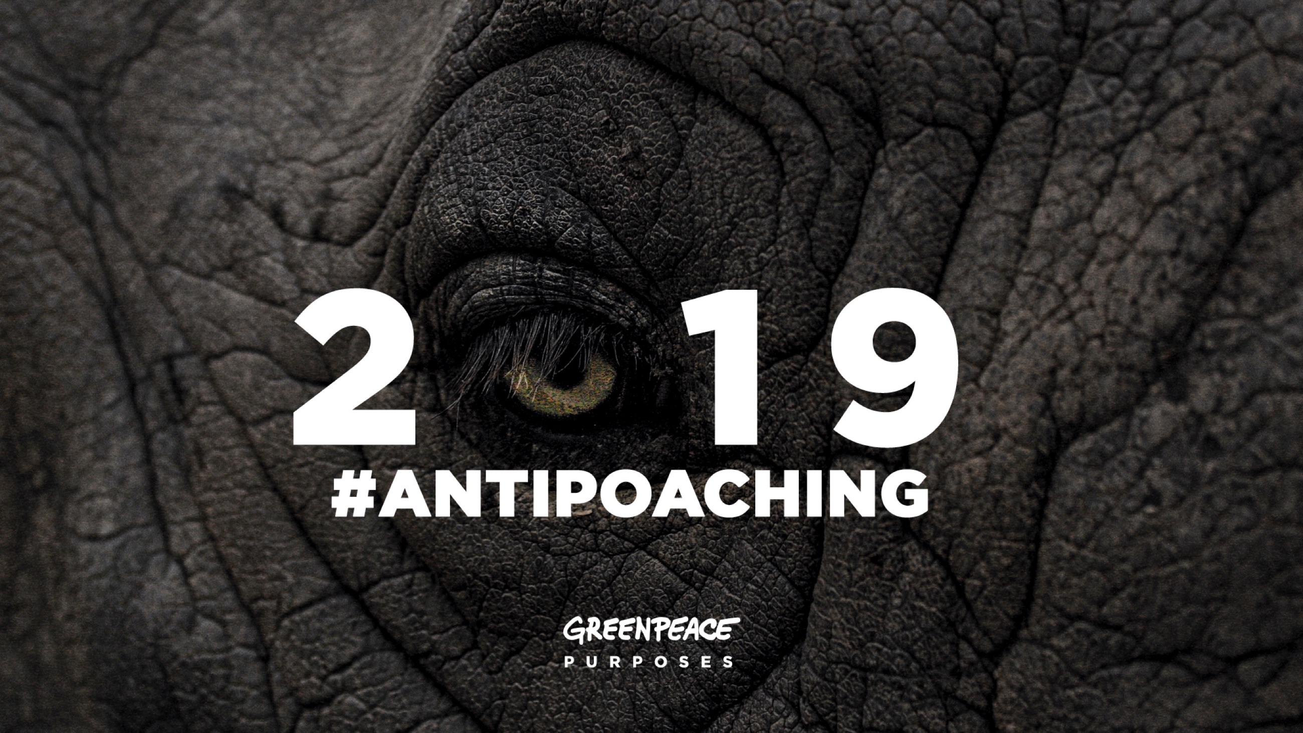 Greenpeace apresenta objetivos para 2019