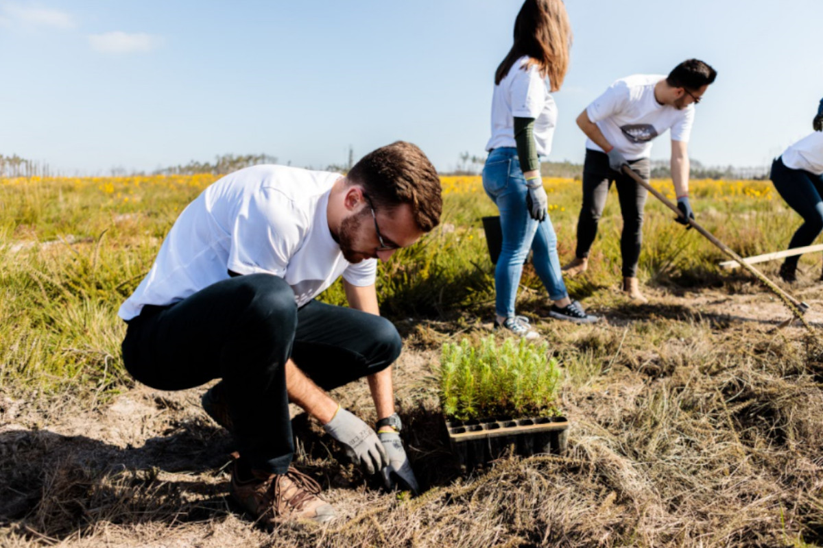 Sacoor Brothers planta 10 mil árvores