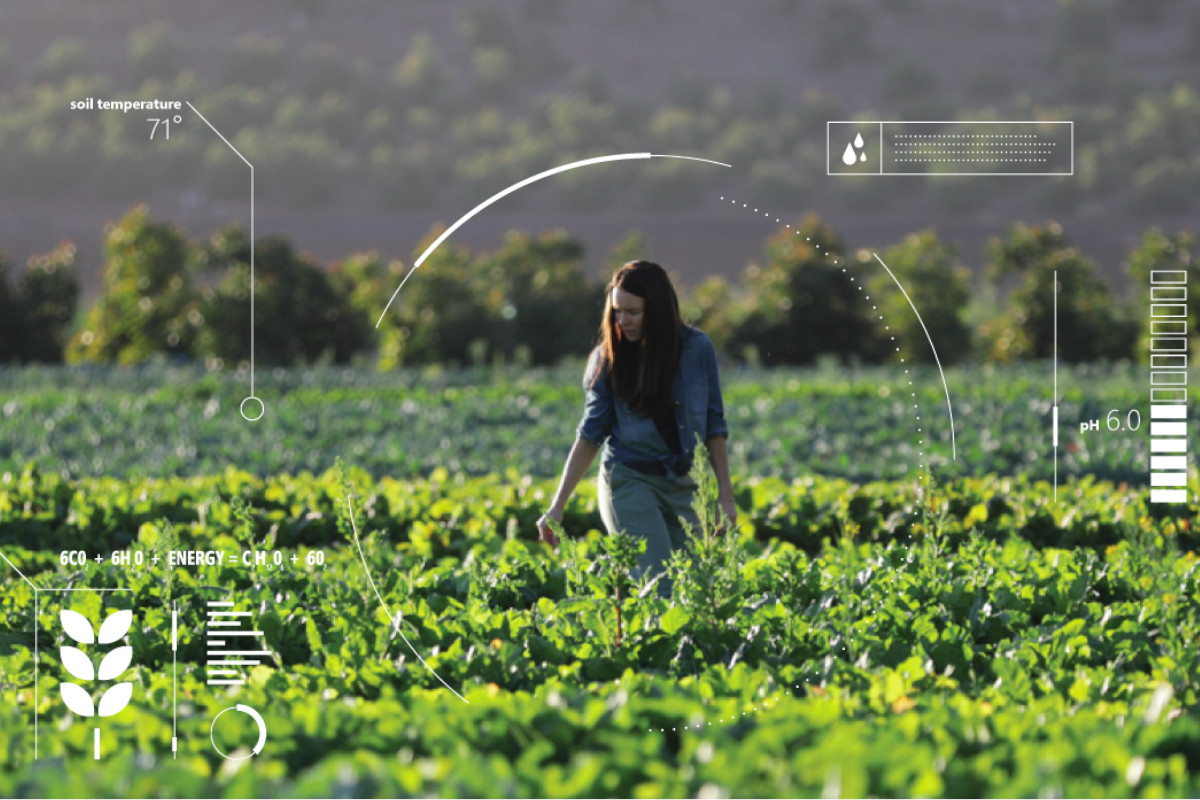 Será a inteligência artificial benéfica para o ambiente?