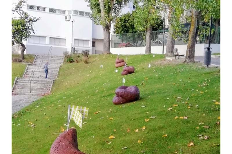 Cocós por todo o lado!