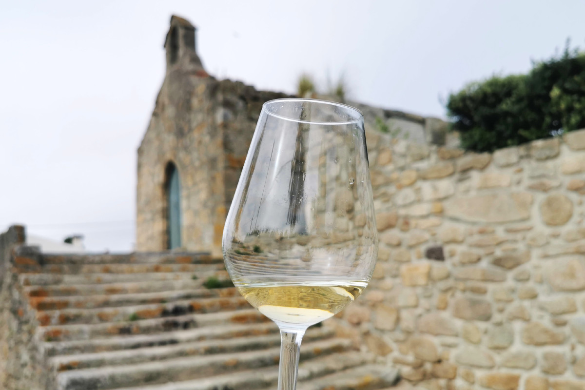 150 vinhos para prova em Vila do Conde